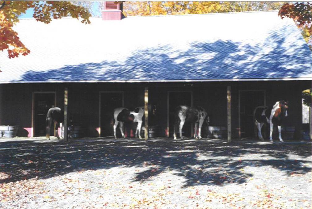 Description: Description: Description: Description: cid:image005.jpg@01CCC24A.C62629A0