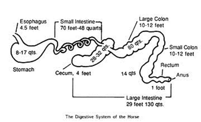 Description: Description: Description: Description: Description: Description: Description: Description: Description: Description: Description: Description: Description: Description: Description: Description: Description: Description: Description: Description: Description: Description: Description: Description: http://ohioline.osu.edu/b762/images/b762_4.jpg