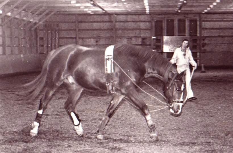 Description: Description: Description: cid:image035.jpg@01CCD7B5.6F5CD8F0